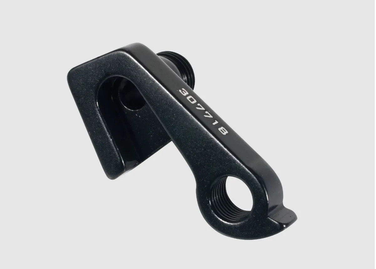 ABP Race Derailleur Hanger