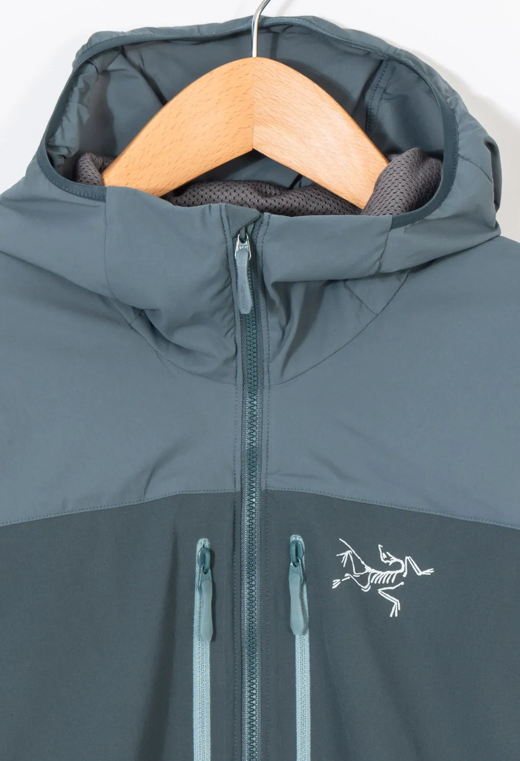 Arc'teryx Proton FL Men's Hoodie - Proteus