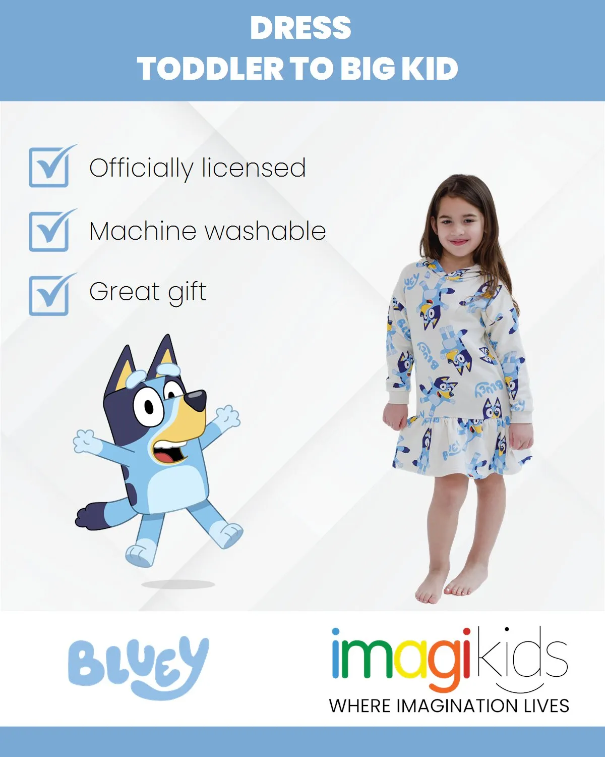 Bluey Fleece Dress