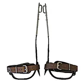 Buckingham Steel Climbing Spurs