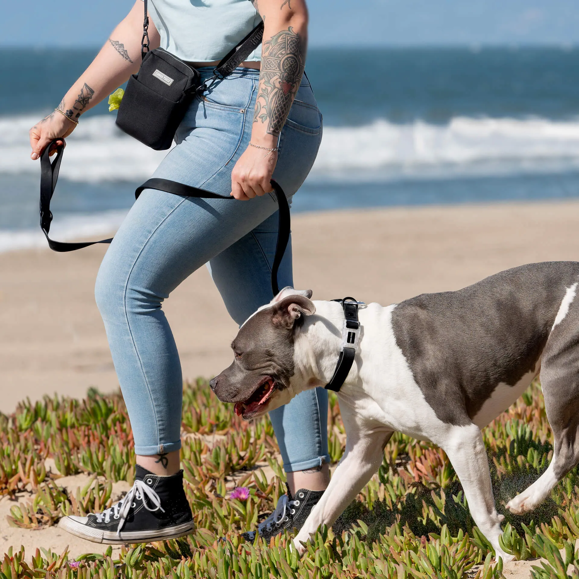 Dog Walking Bag