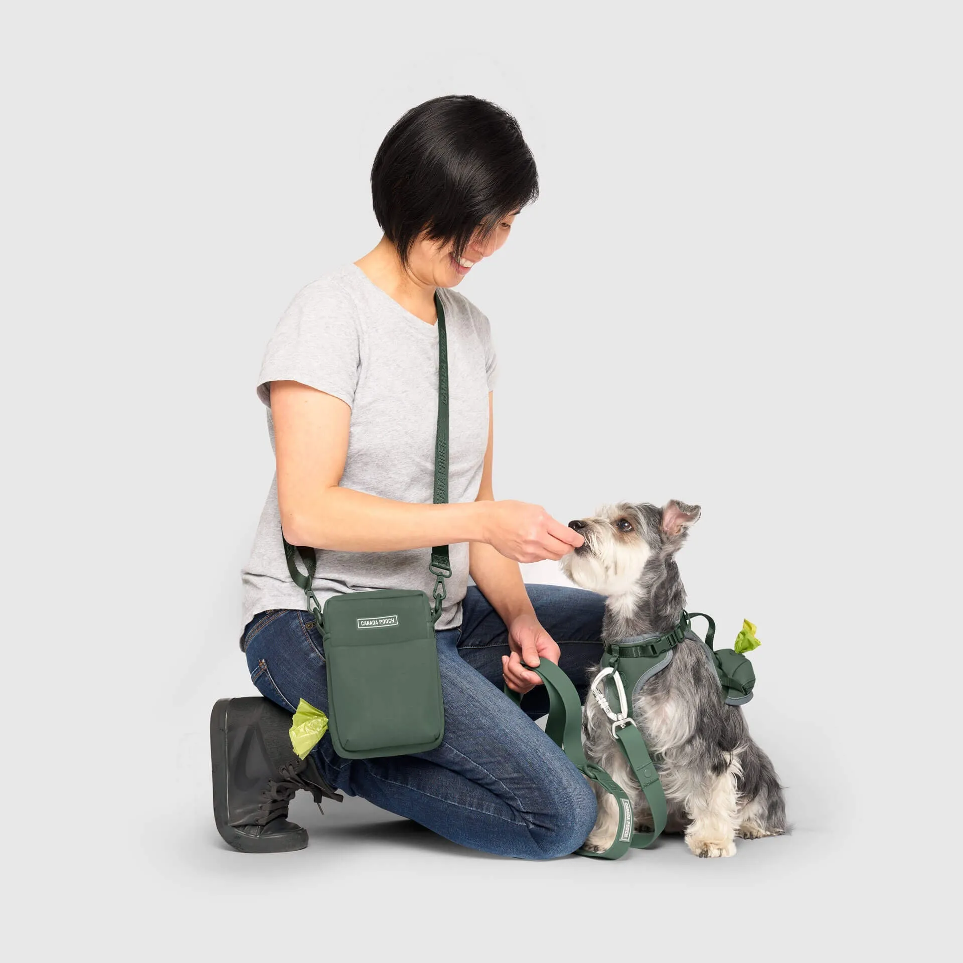 Dog Walking Bag