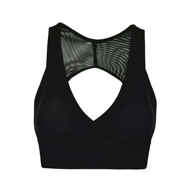 Insistency Athleisure Sports Bra Top