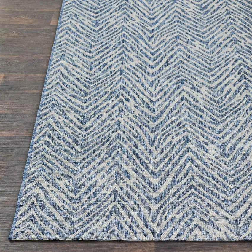 Keels Outdoor Blue Area Rug Carpet for Living Room Bedroom or Kitchen