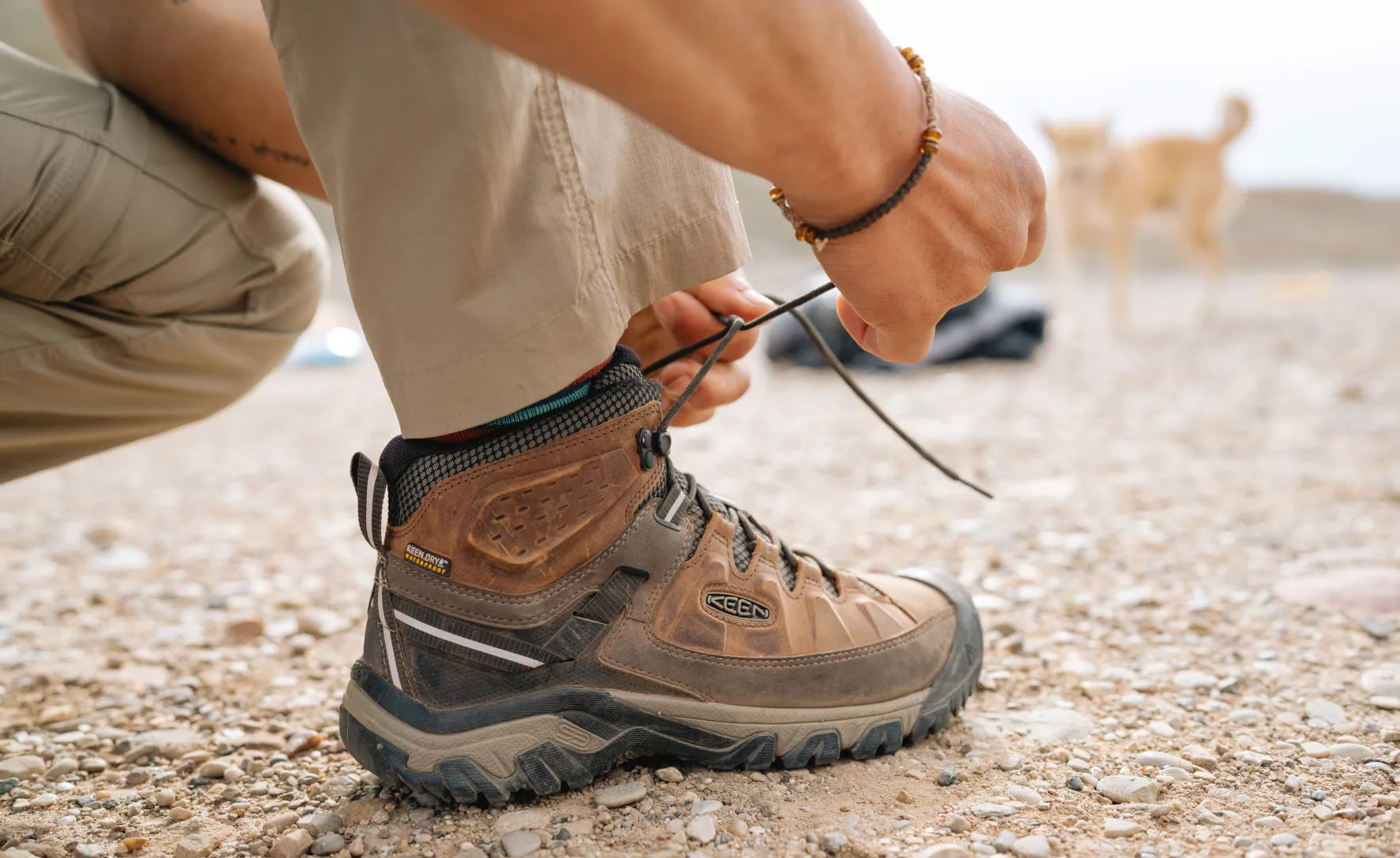 Men's Targhee III Waterproof Mid  |  Black Olive/Golden Brown