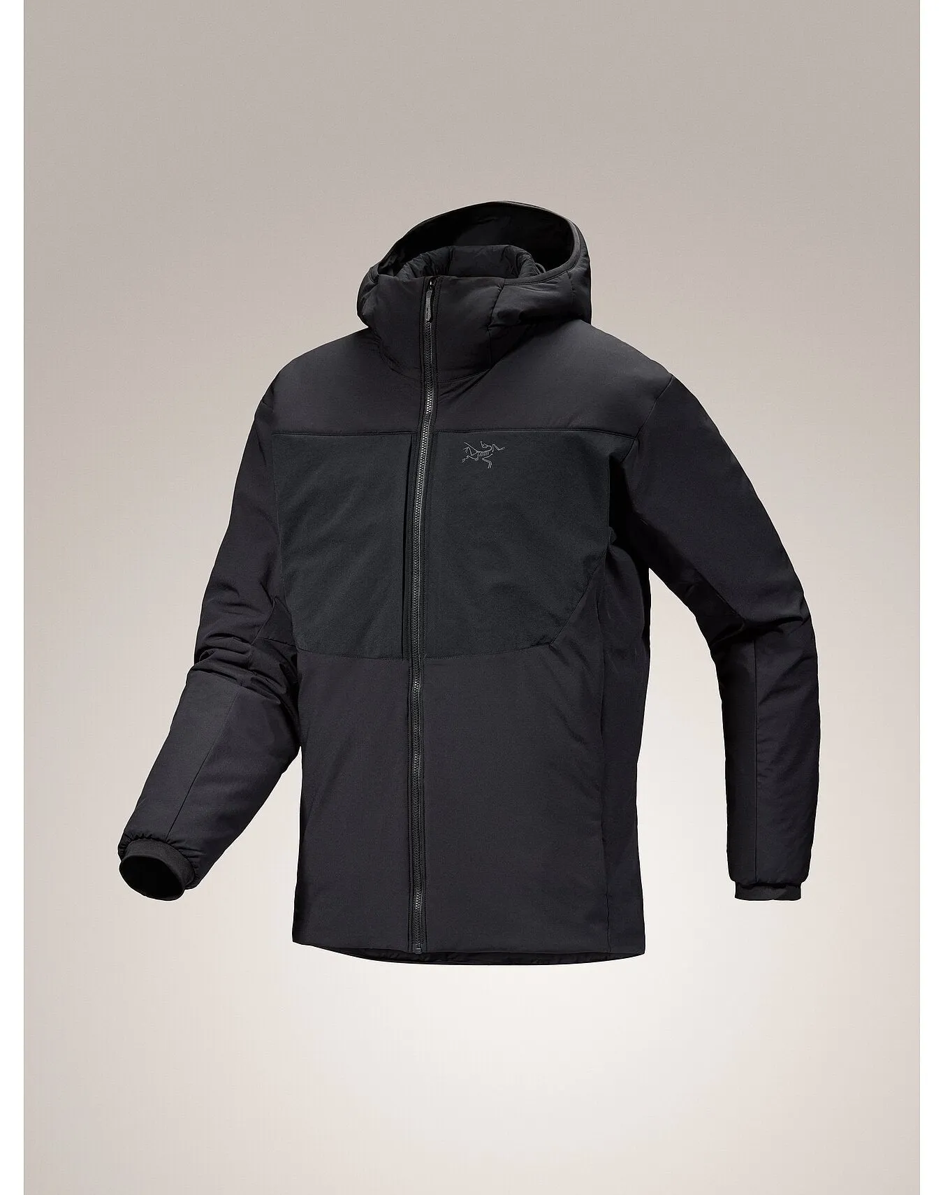 Mens Proton Heavyweight Hoodie: Durable and Warm