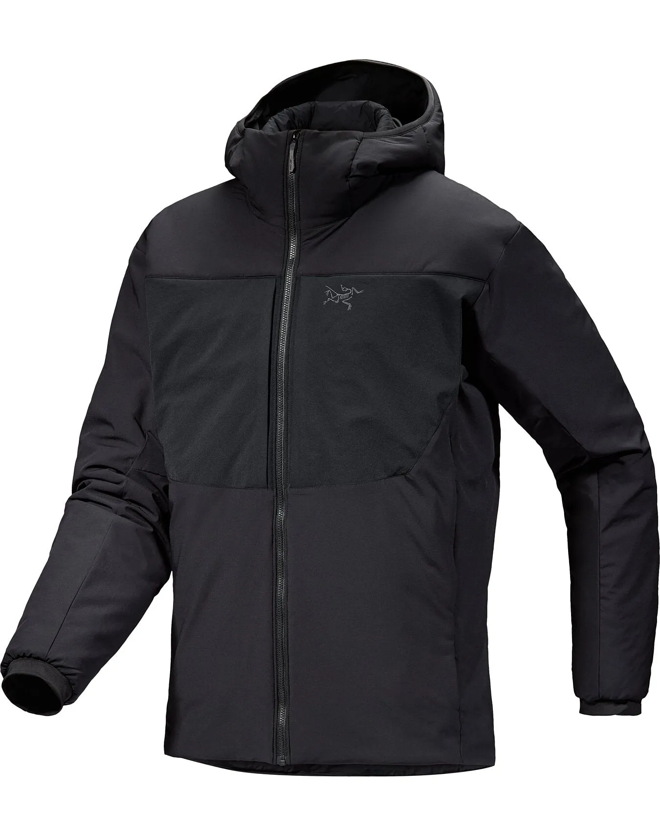 Mens Proton Heavyweight Hoodie: Durable and Warm